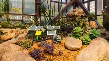 The Green House accommodates more than 100 kinds of succulent plants with informational signs introducing the plants species.